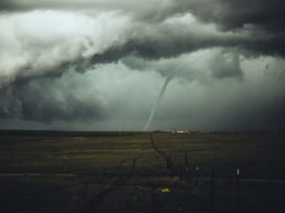 XRP Pervails Against Bearish Winds